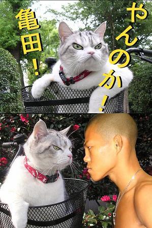 おもしろ画像